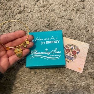 alex and ani bracelet